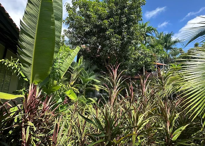 Atoh's Maison Villa Siem Reap